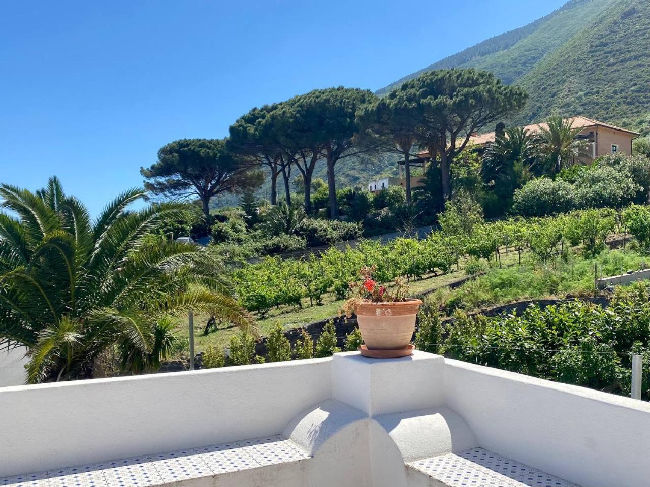 Casa Zagami Holiday home Malfa (Salina)