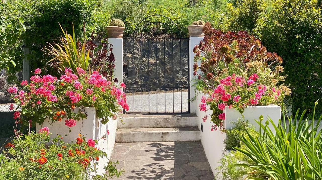 Casa Zagami Casa vacanze Malfa (Salina)
